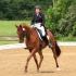 River Glen Dressage Show